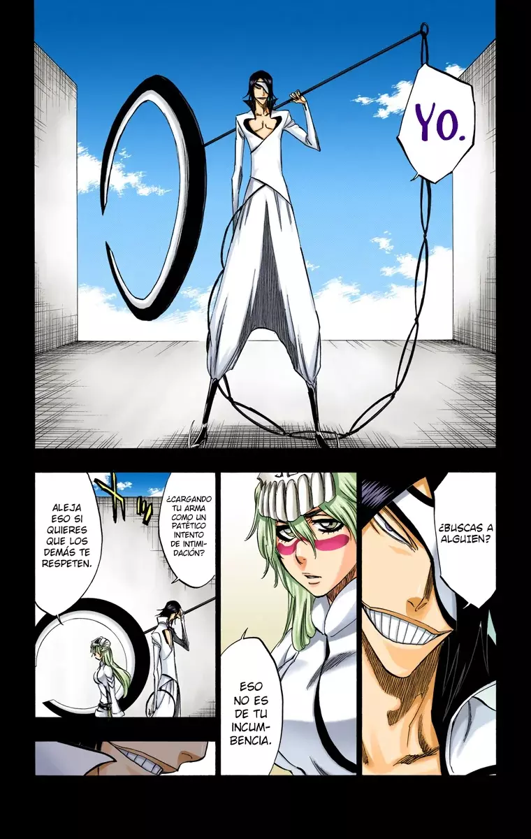 Bleach (Color) capítulo 294, página 13