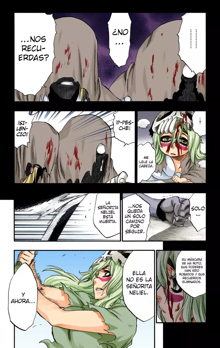 Bleach (Color) capítulo 295, página 6