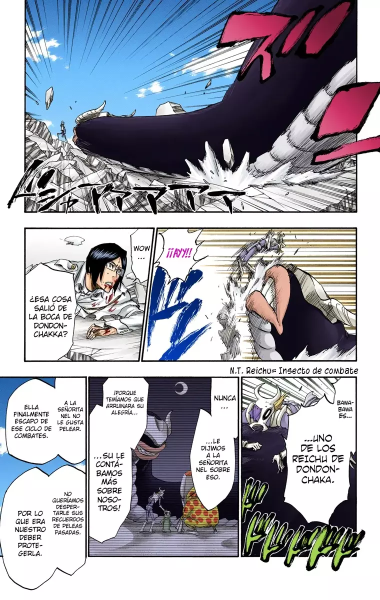 Bleach (Color) capítulo 295, página 14