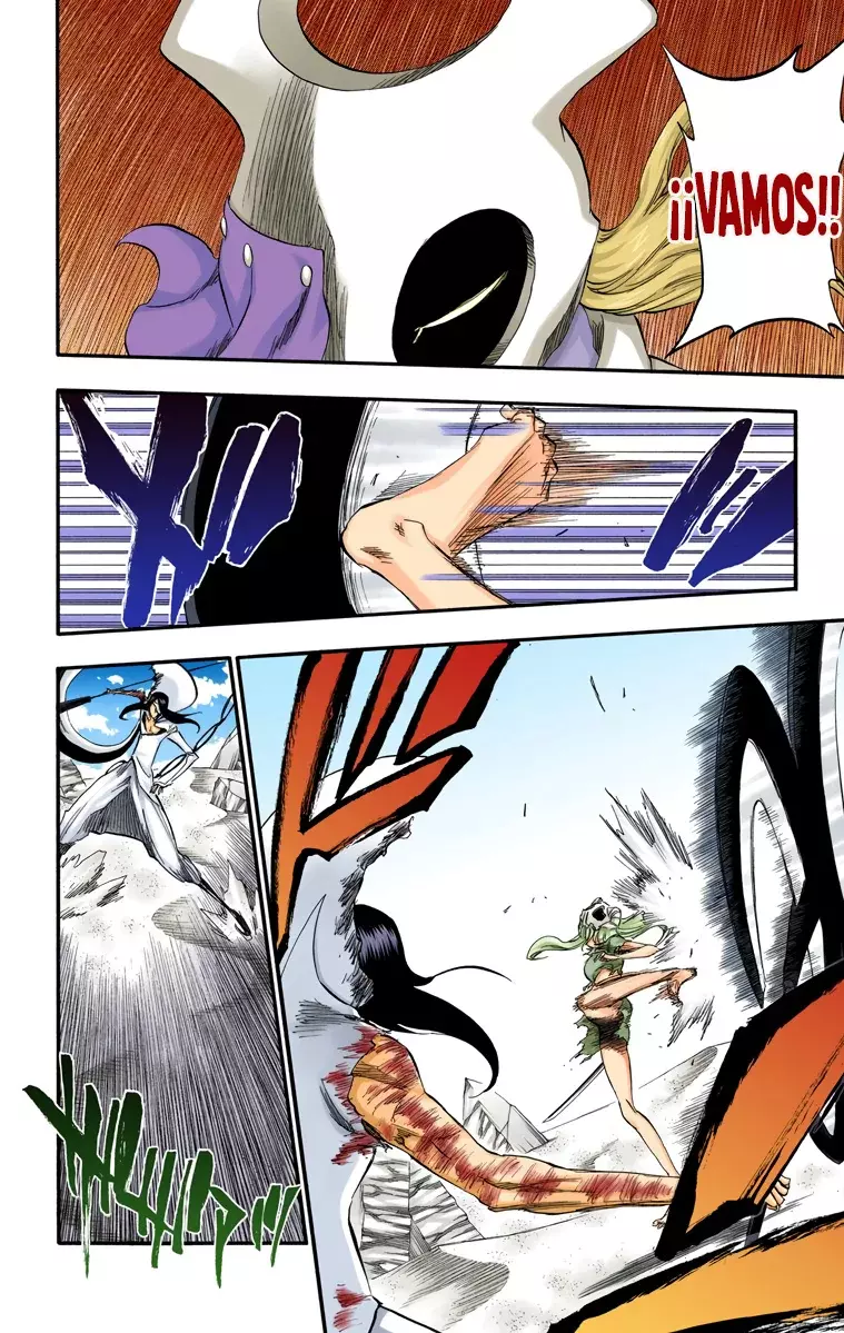 Bleach (Color) capítulo 295, página 16