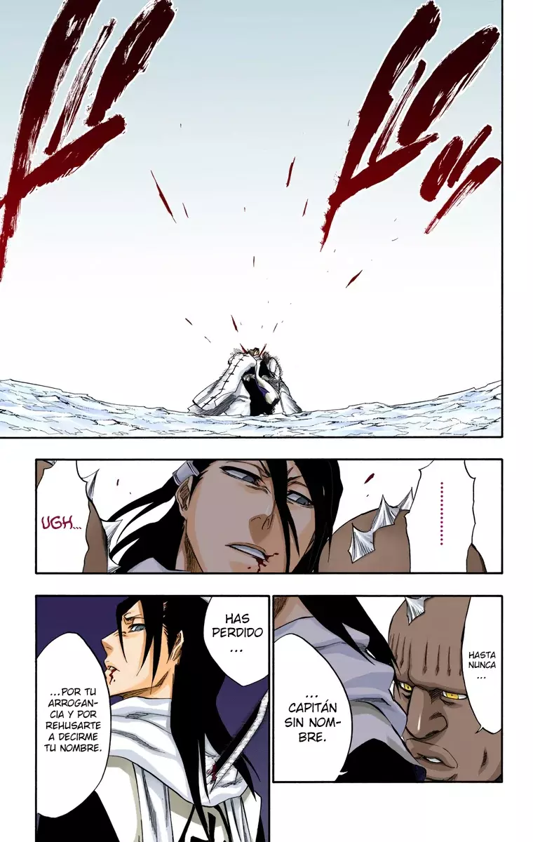 Bleach (Color) capítulo 299, página 17