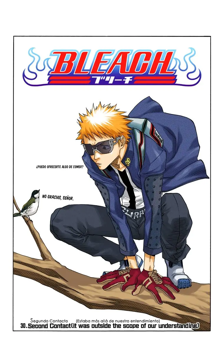 Bleach (Color) capítulo 30, página 3