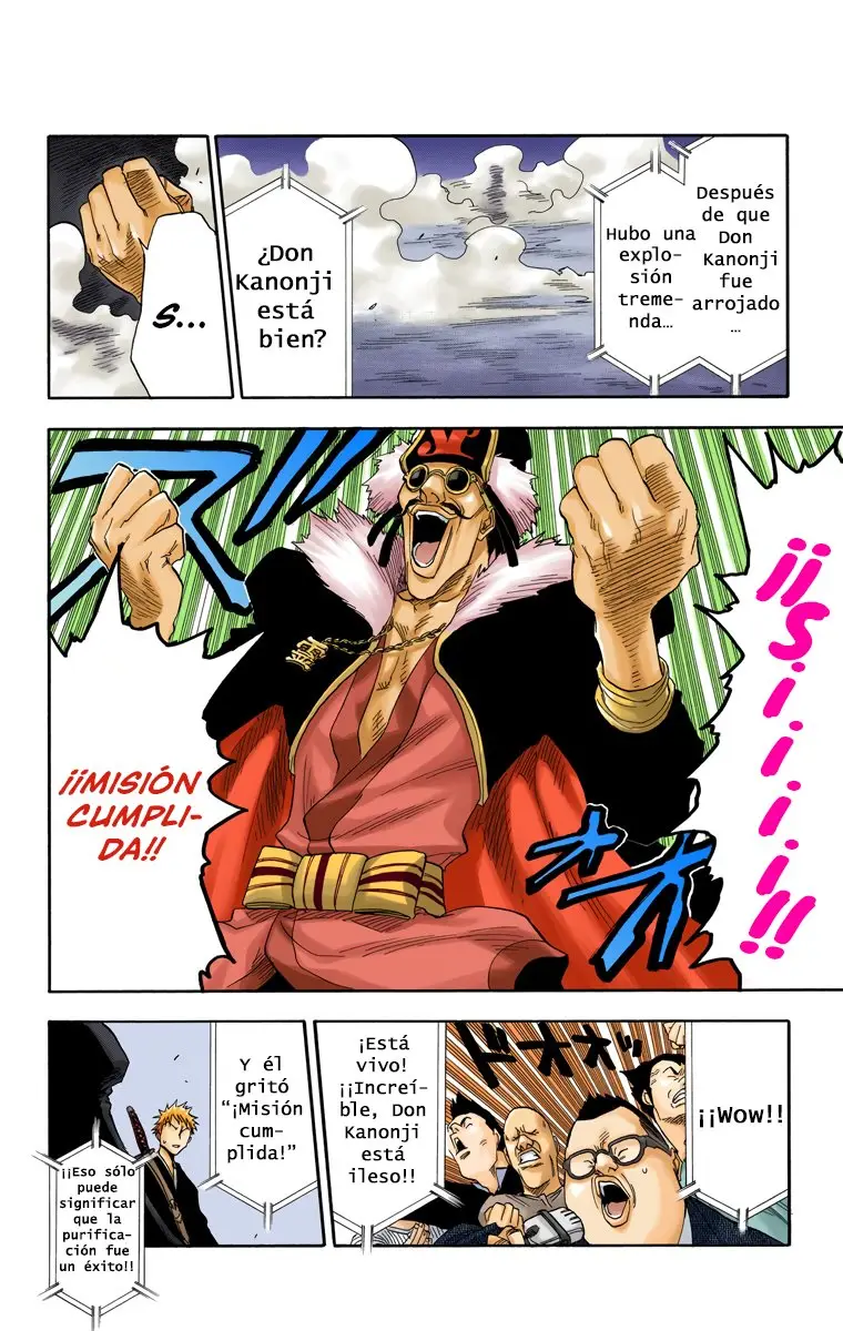 Bleach (Color) capítulo 30, página 5