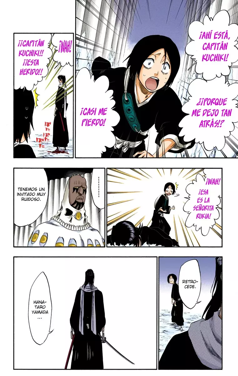 Bleach (Color) capítulo 300, página 18
