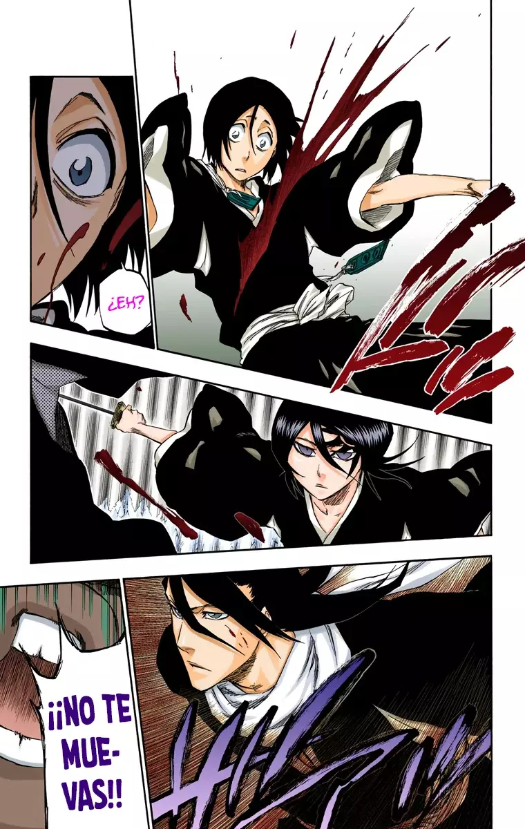 Bleach (Color) capítulo 301, página 13