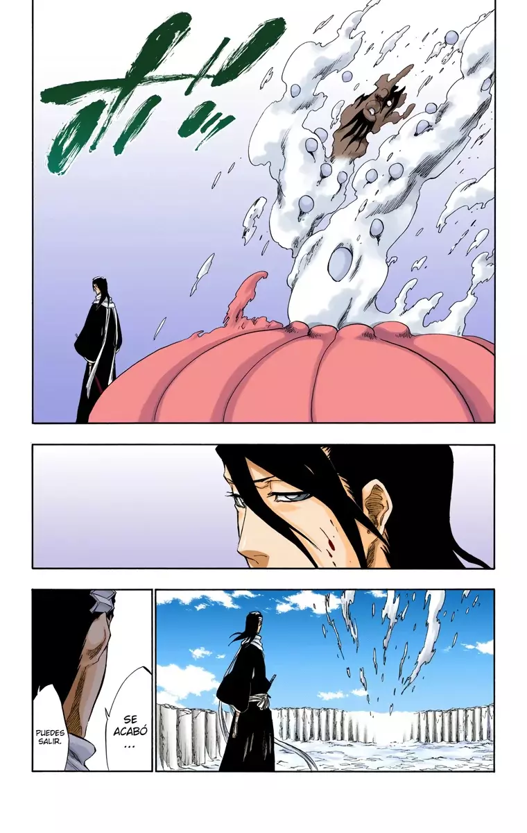 Bleach (Color) capítulo 302, página 17