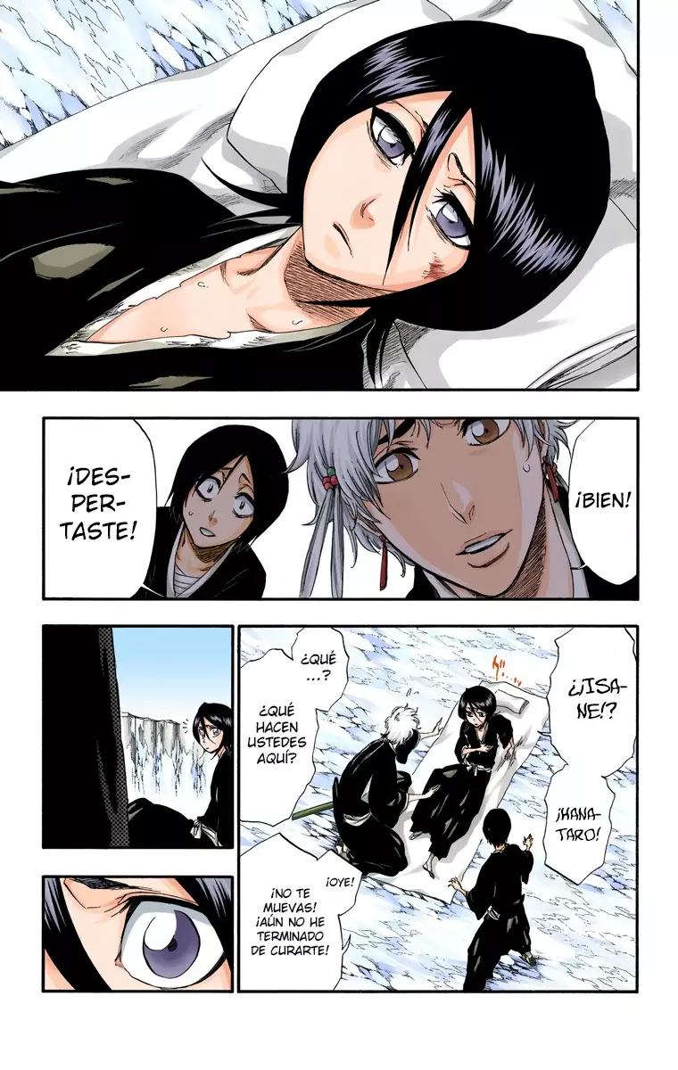 Bleach (Color) capítulo 304, página 4