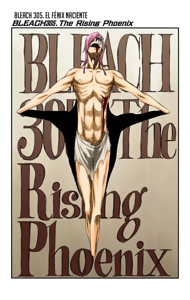 Bleach (Color) capítulo 305, página 5