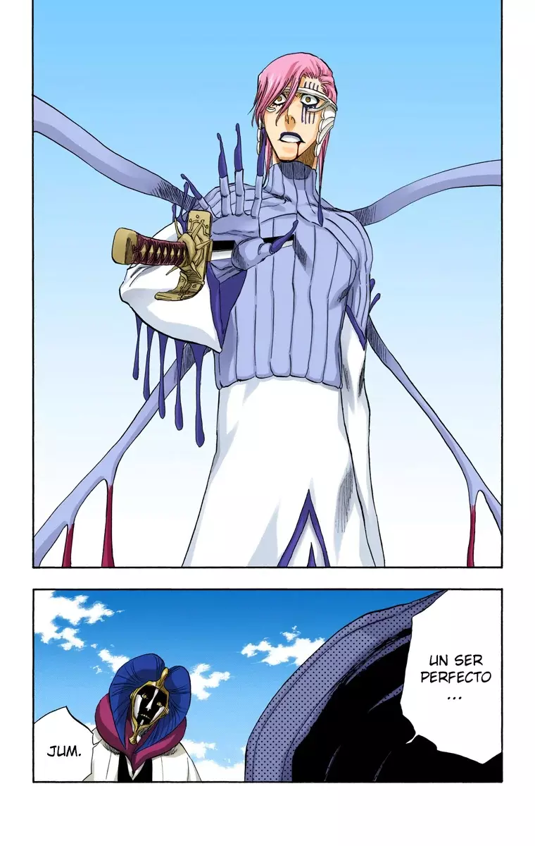Bleach (Color) capítulo 306, página 8