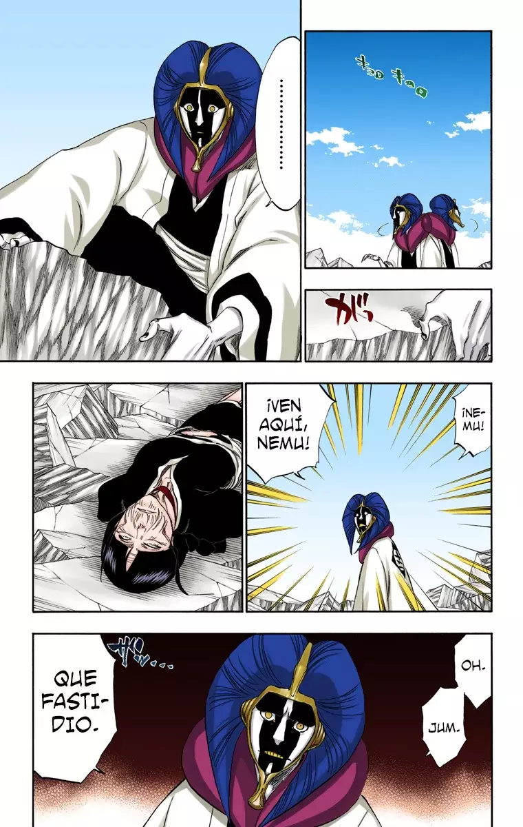 Bleach (Color) capítulo 306, página 14