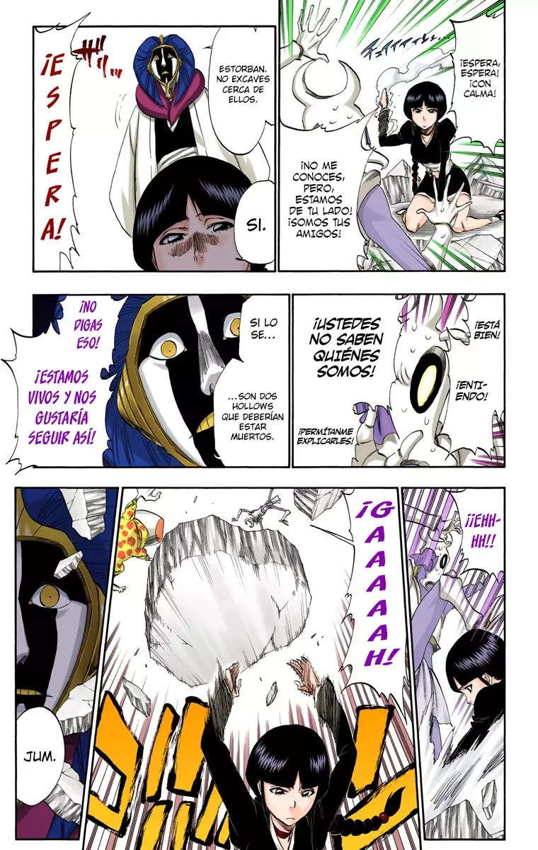 Bleach (Color) capítulo 306, página 18
