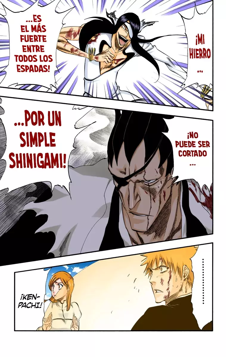 Bleach (Color) capítulo 306, página 24