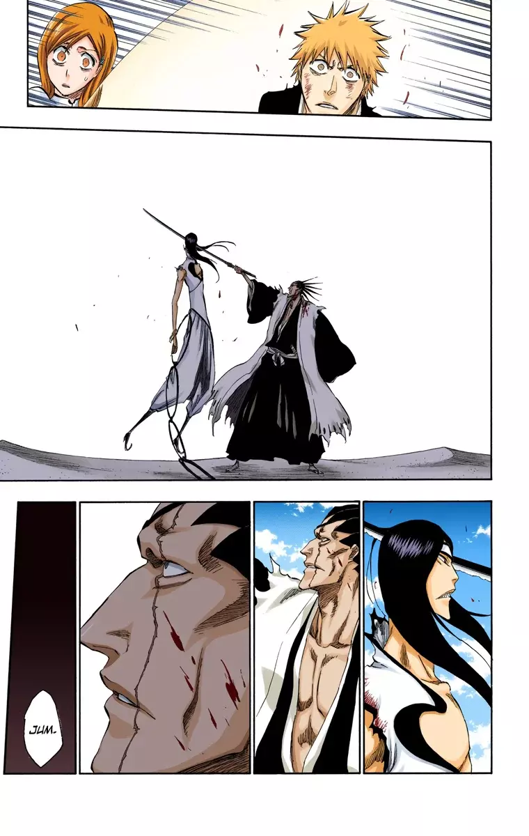 Bleach (Color) capítulo 307, página 16