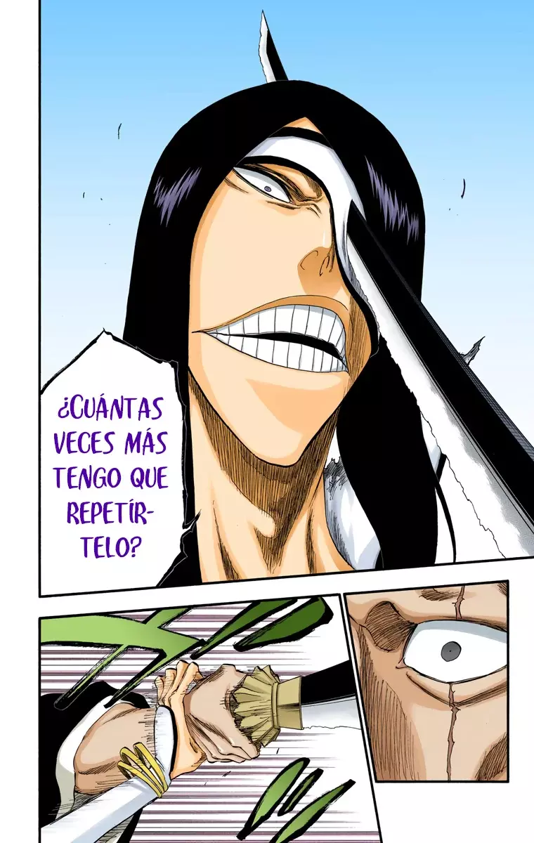 Bleach (Color) capítulo 307, página 17