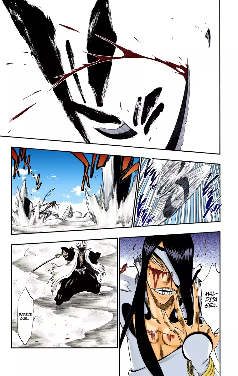 Bleach (Color) capítulo 308, página 14
