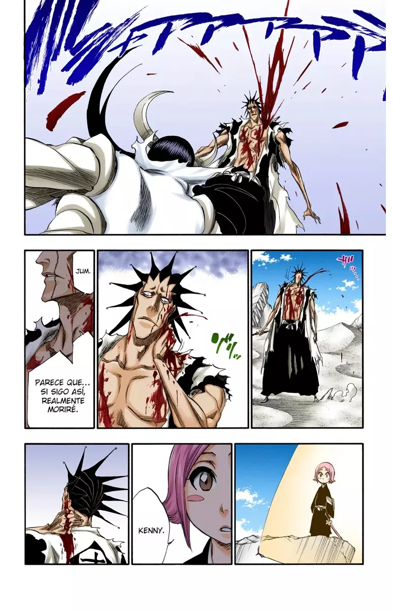 Bleach (Color) capítulo 311, página 15