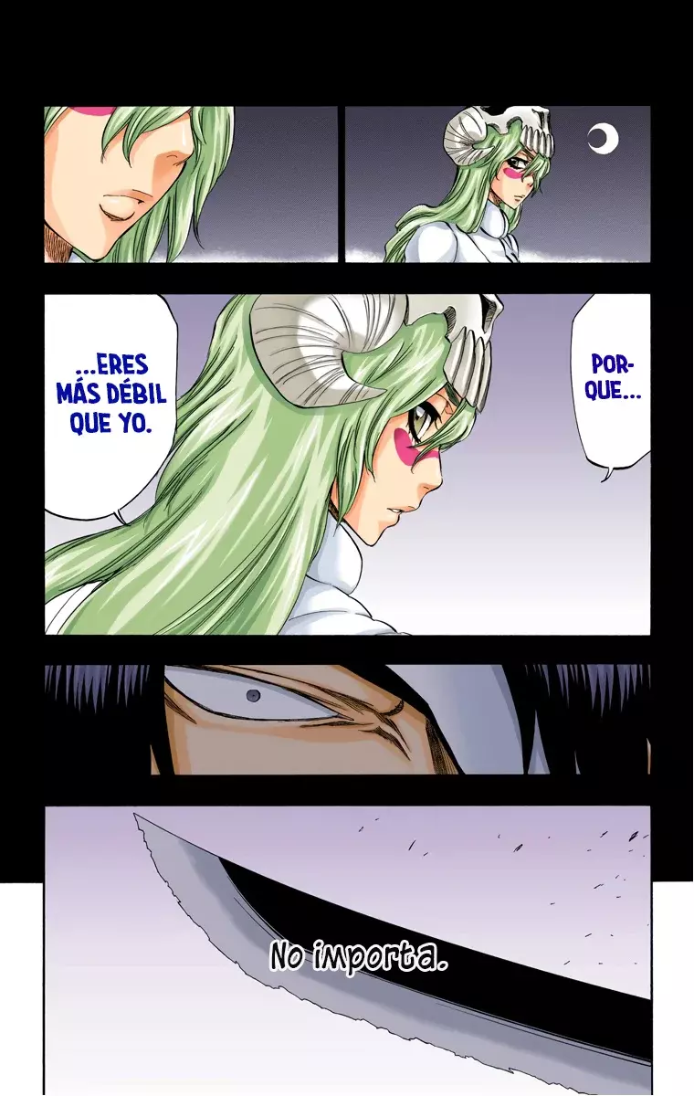 Bleach (Color) capítulo 312, página 16