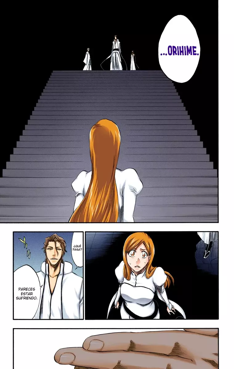 Bleach (Color) capítulo 313, página 18