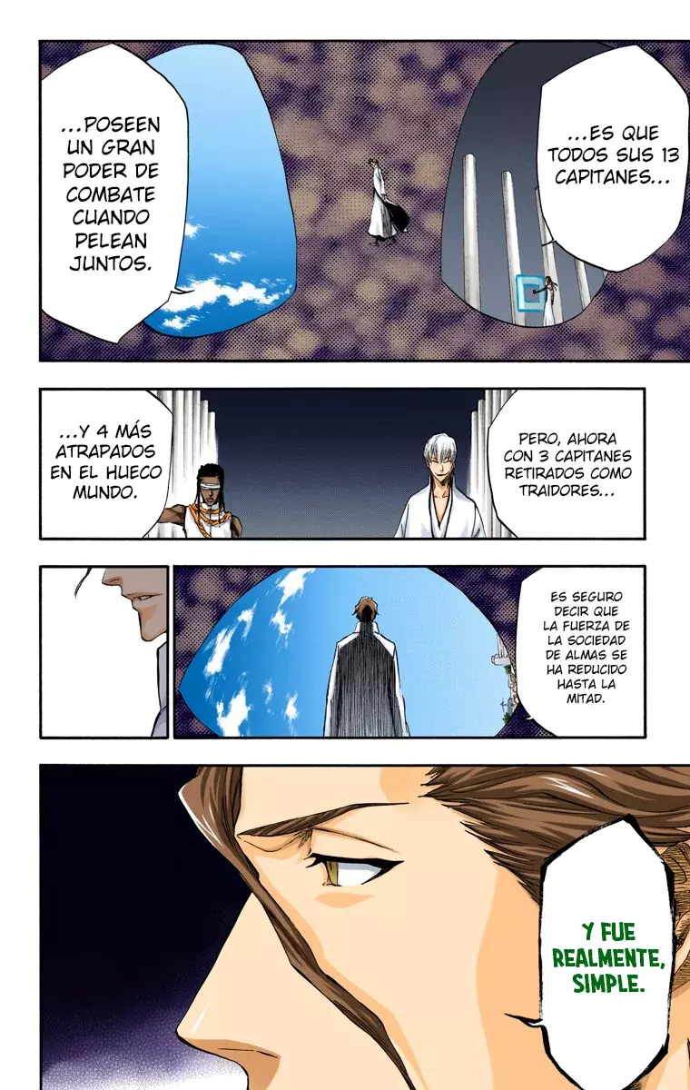 Bleach (Color) capítulo 314, página 13