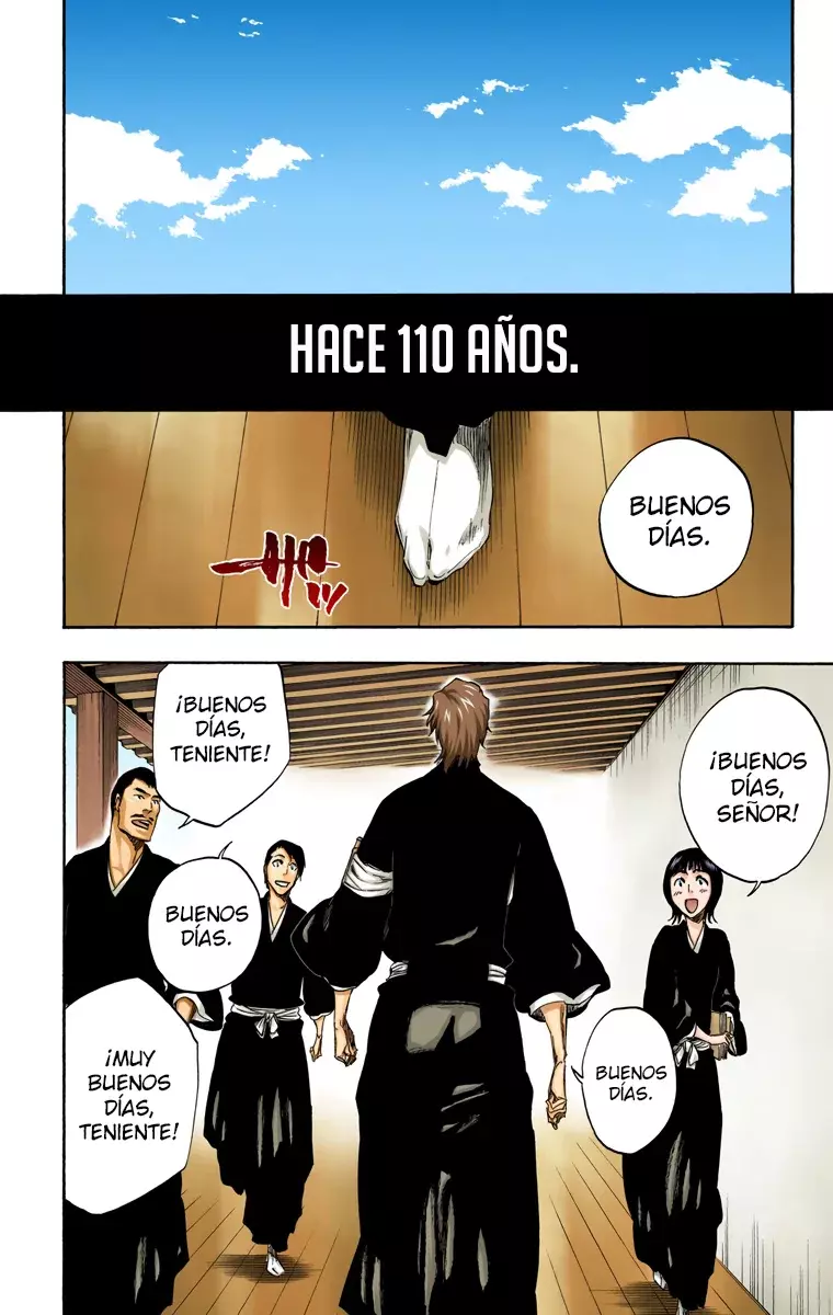 Bleach (Color) capítulo 315.1, página 8