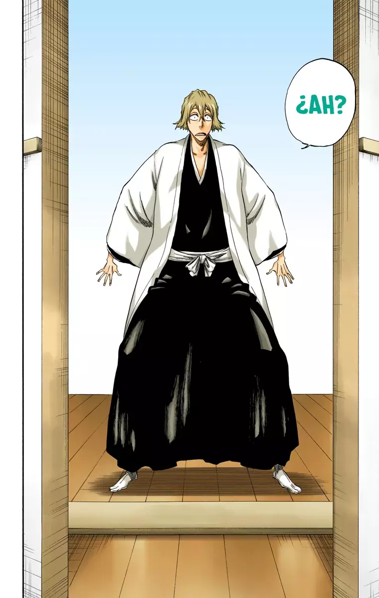 Bleach (Color) capítulo 315.1, página 22