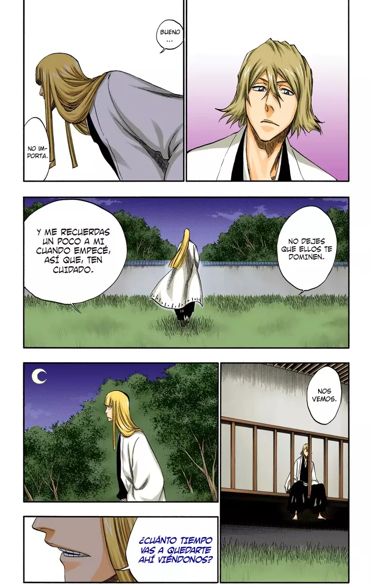 Bleach (Color) capítulo 315.2, página 18