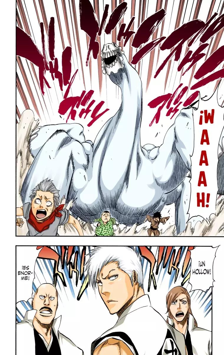 Bleach (Color) capítulo 315.5, página 13