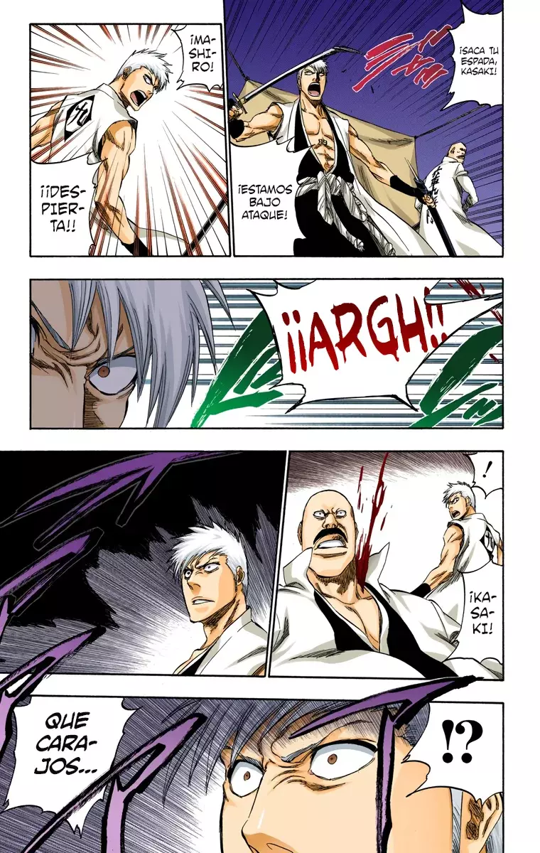 Bleach (Color) capítulo 315.6, página 19