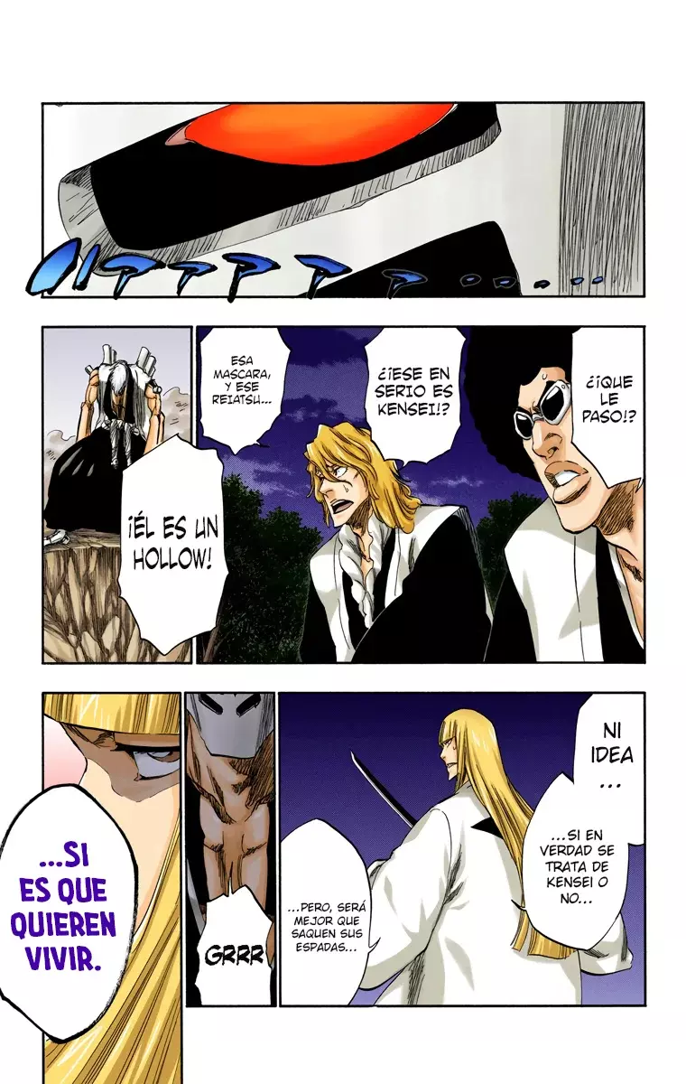 Bleach (Color) capítulo 315.8, página 4