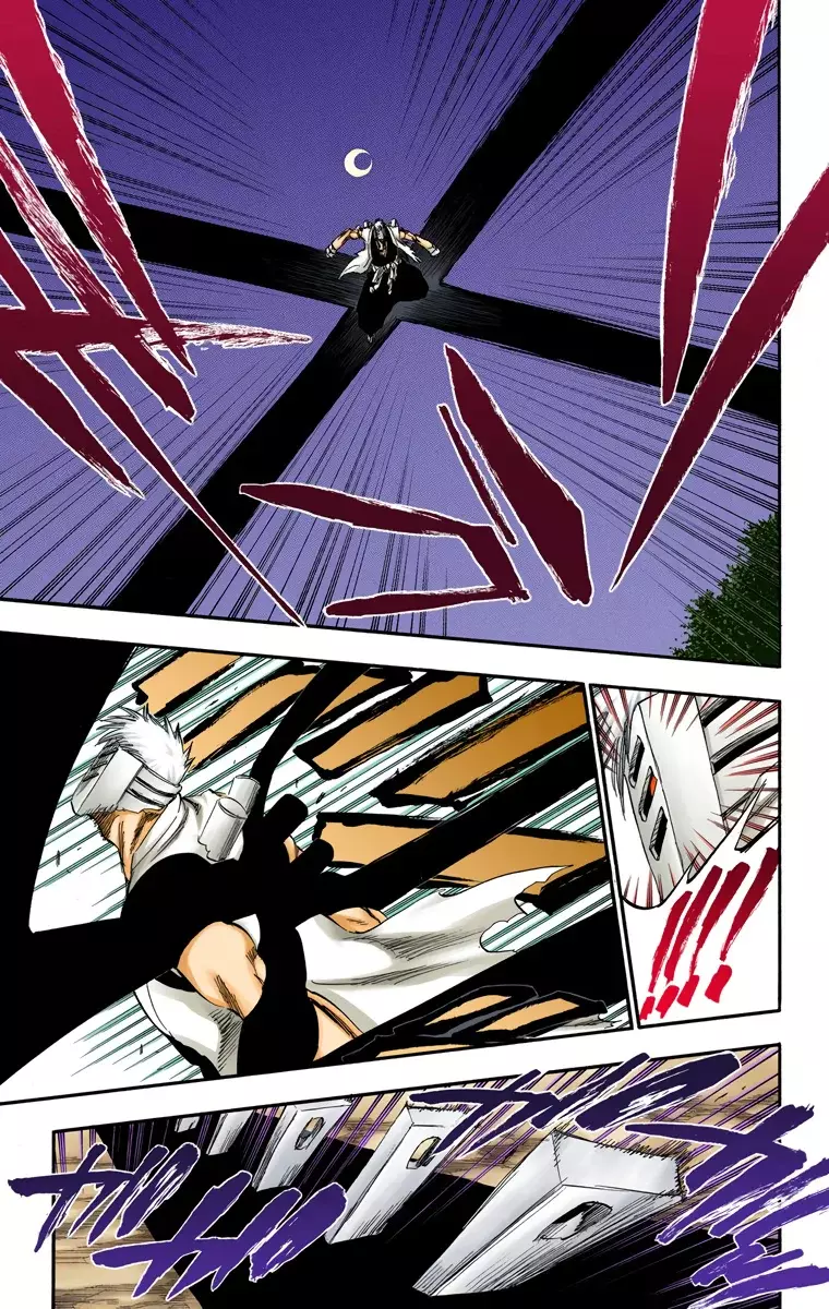 Bleach (Color) capítulo 315.9, página 10