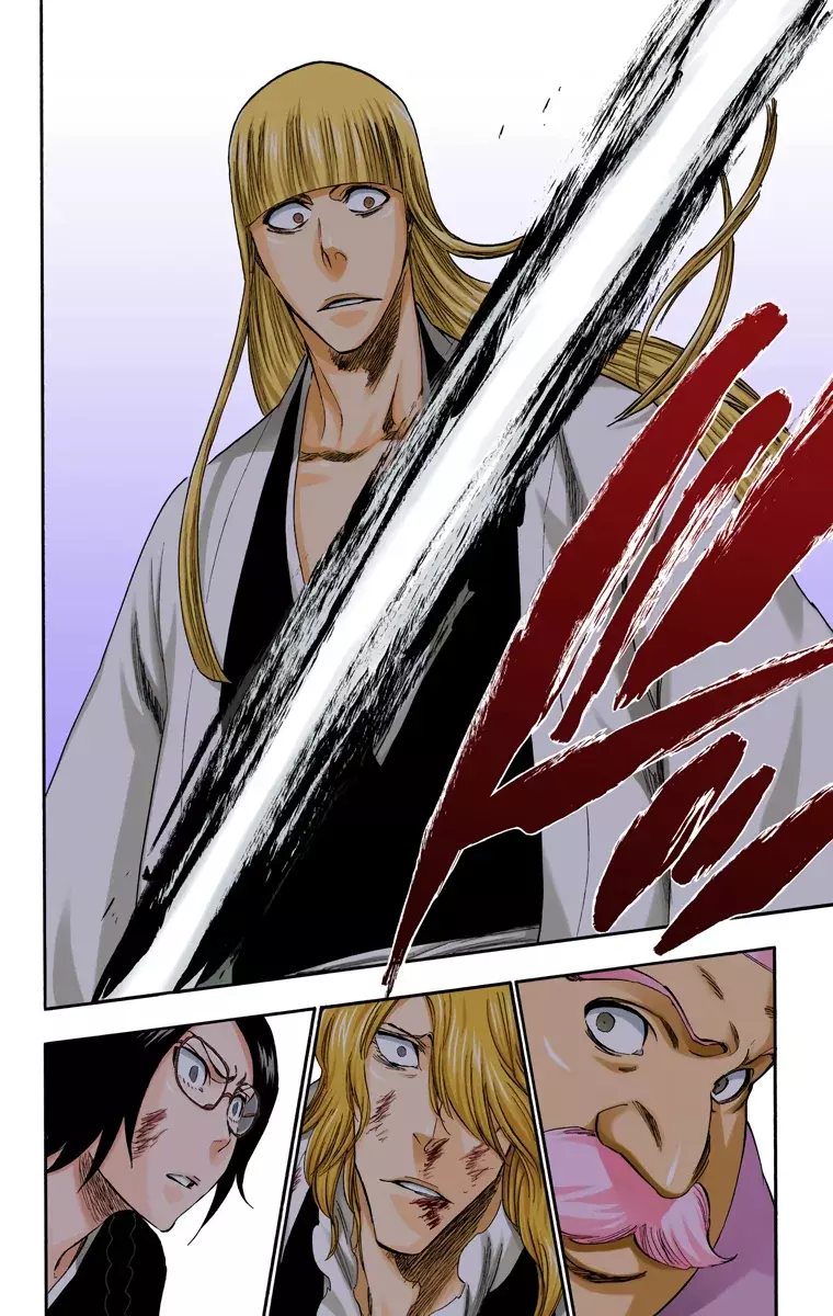 Bleach (Color) capítulo 315.9, página 13