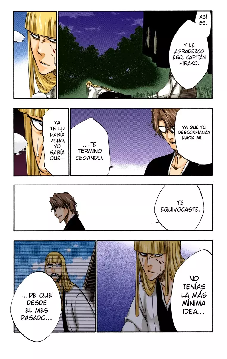 Bleach (Color) capítulo 315.95, página 11