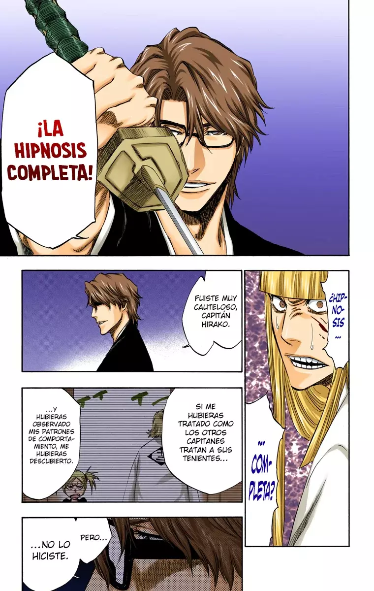 Bleach (Color) capítulo 315.95, página 13