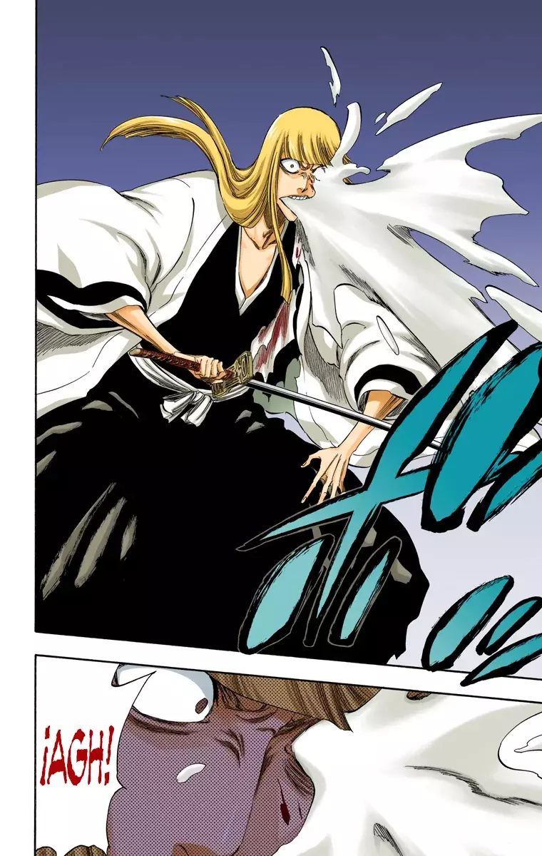 Bleach (Color) capítulo 315.95, página 18