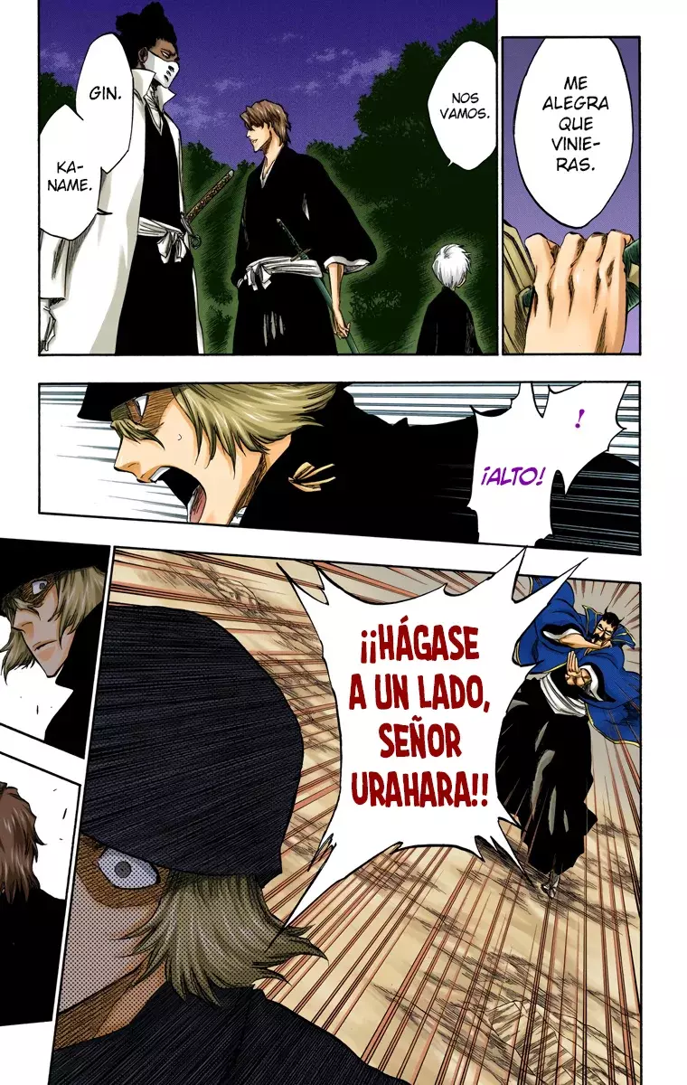 Bleach (Color) capítulo 315.96, página 10