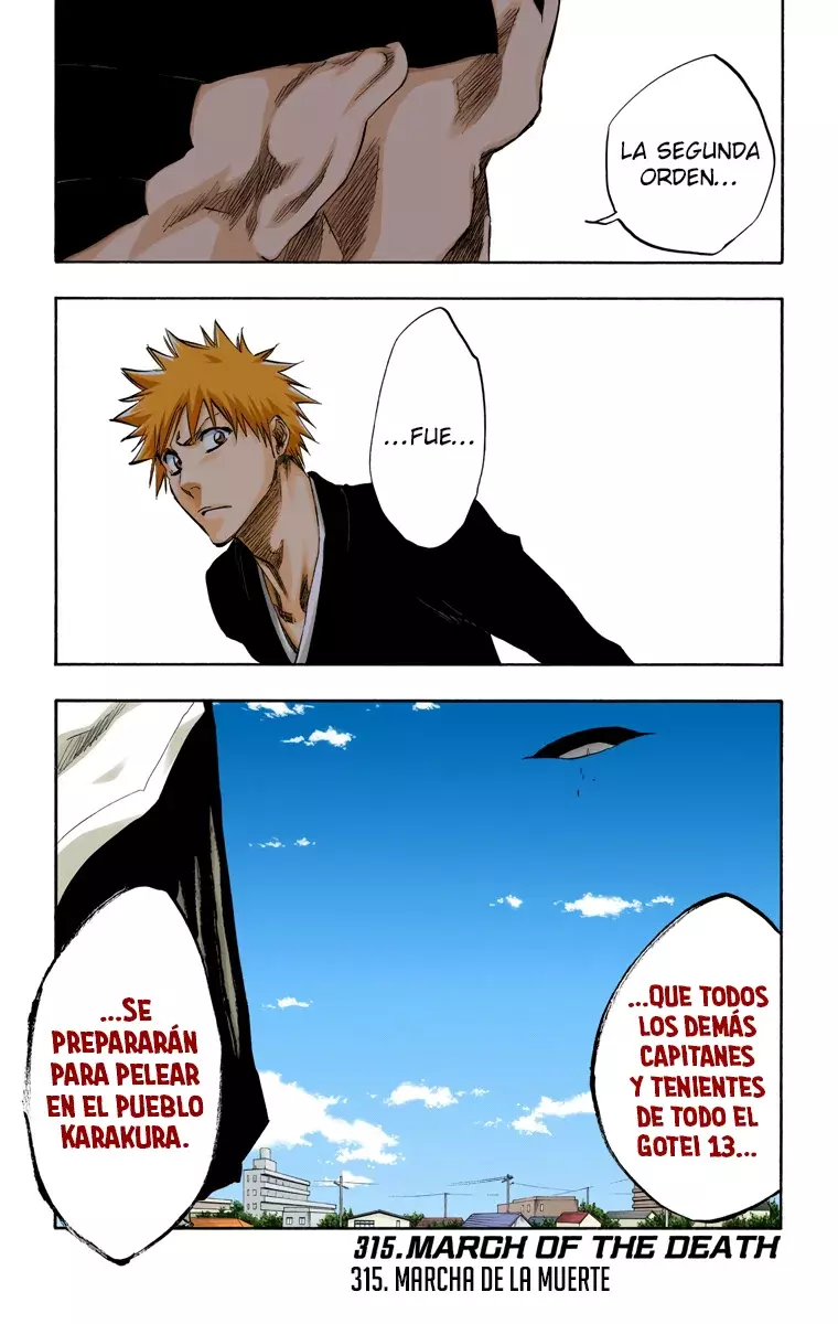 Bleach (Color) capítulo 315, página 2
