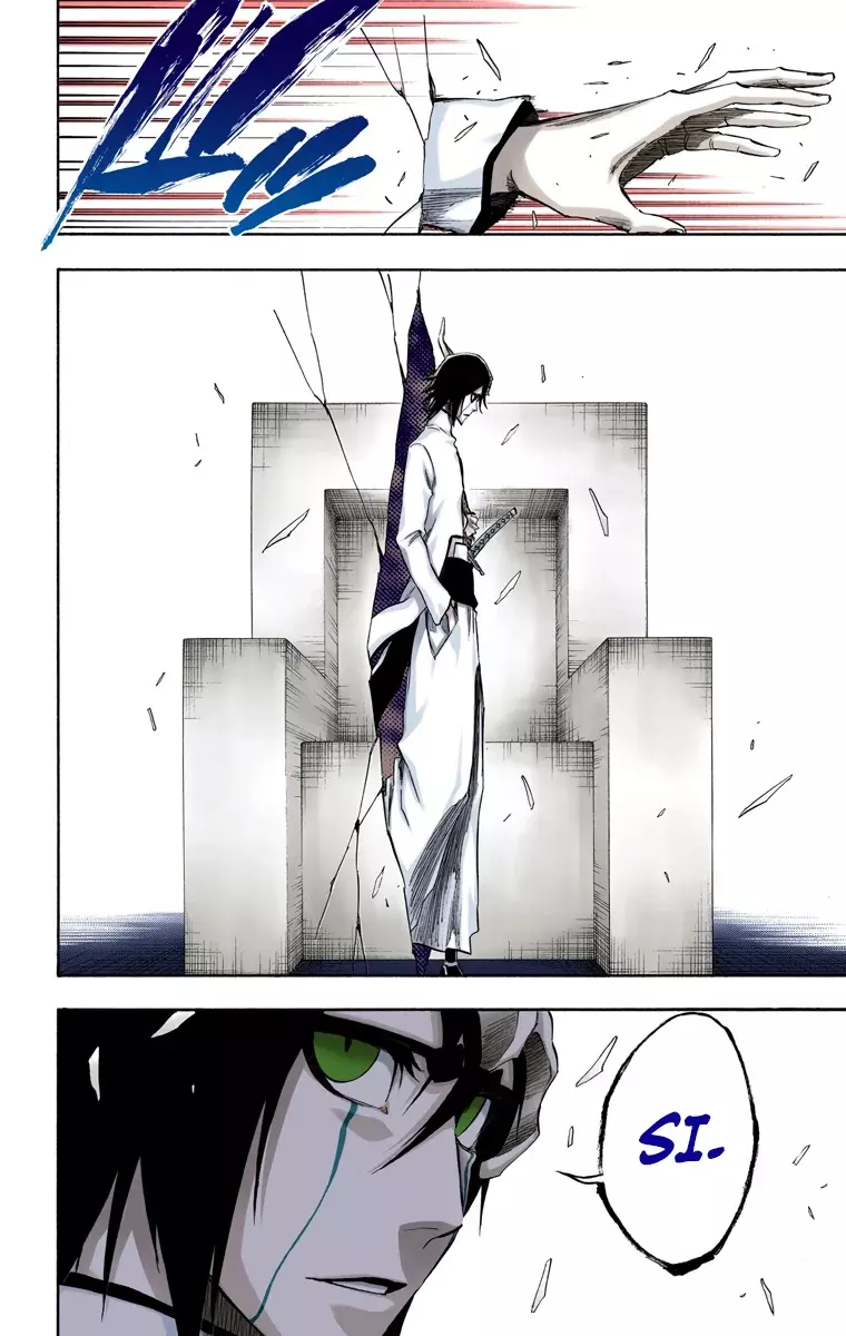 Bleach (Color) capítulo 315, página 14