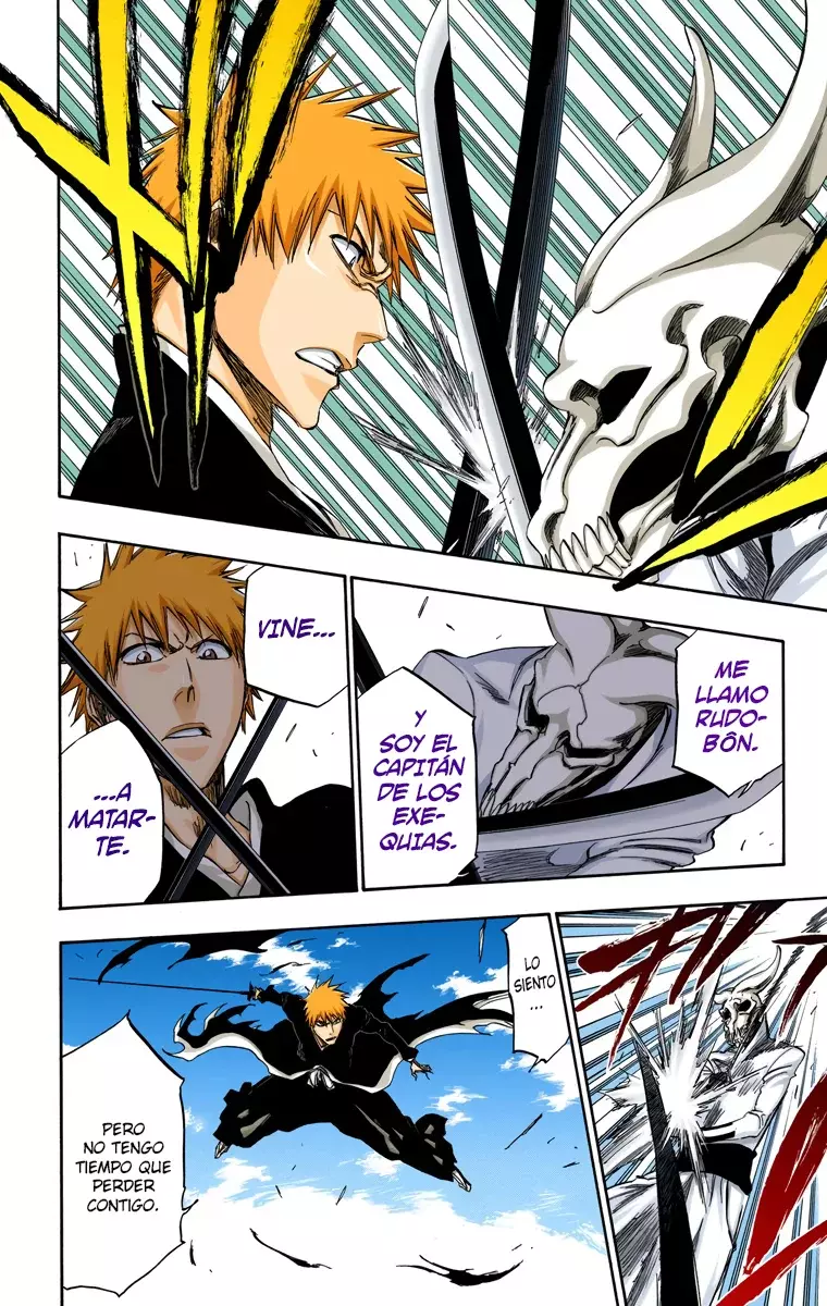 Bleach (Color) capítulo 317, página 12