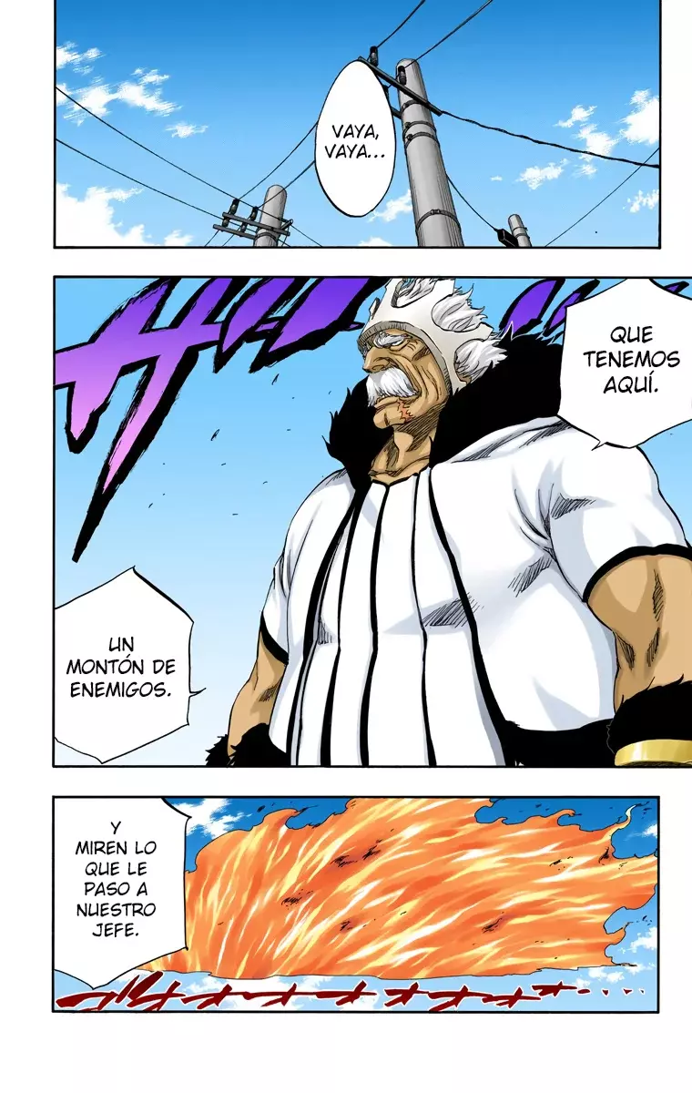 Bleach (Color) capítulo 318, página 10