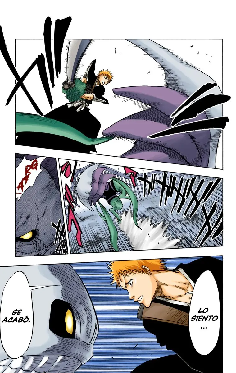 Bleach (Color) capítulo 32, página 14