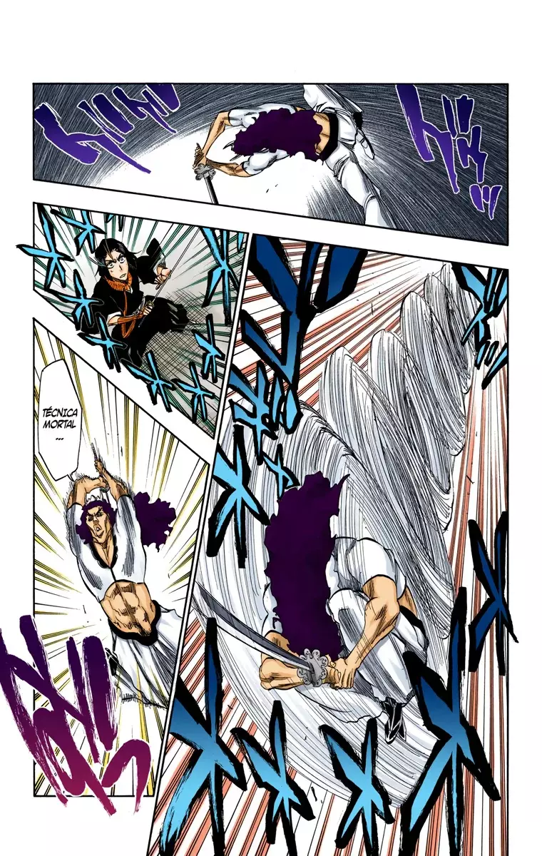 Bleach (Color) capítulo 320, página 14