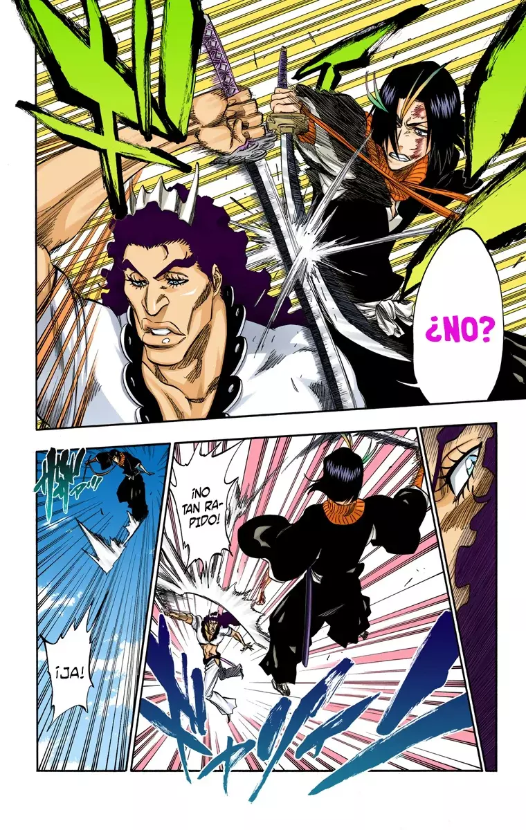 Bleach (Color) capítulo 320, página 17