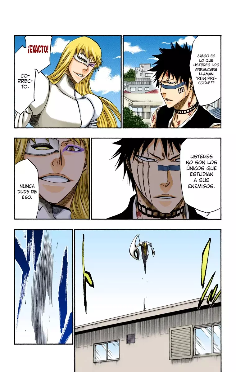 Bleach (Color) capítulo 324, página 10