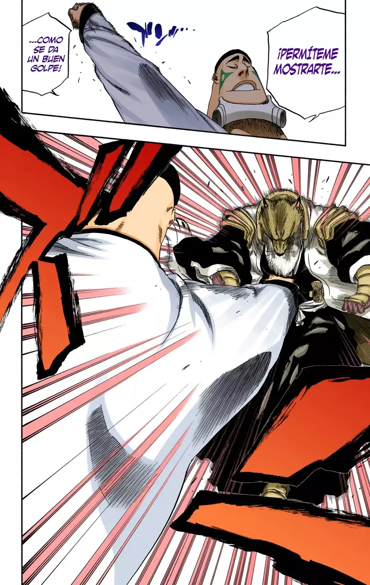 Bleach (Color) capítulo 326, página 17