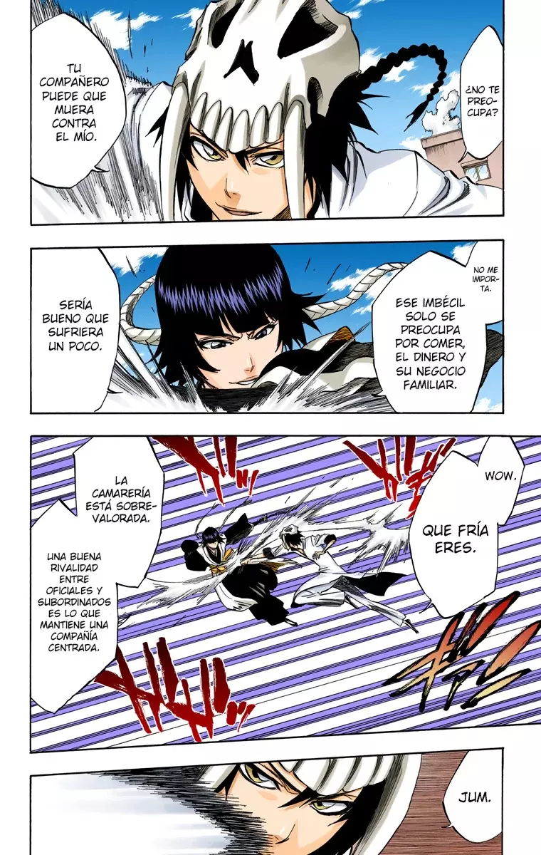 Bleach (Color) capítulo 330, página 17