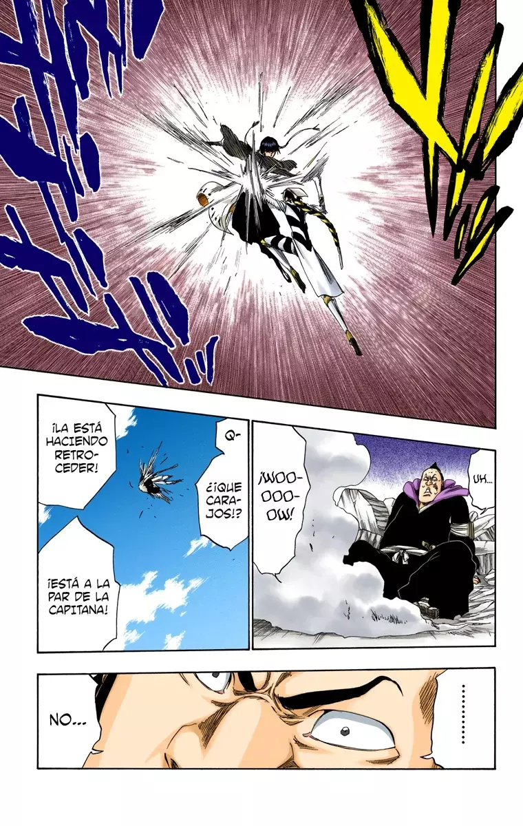 Bleach (Color) capítulo 332, página 14