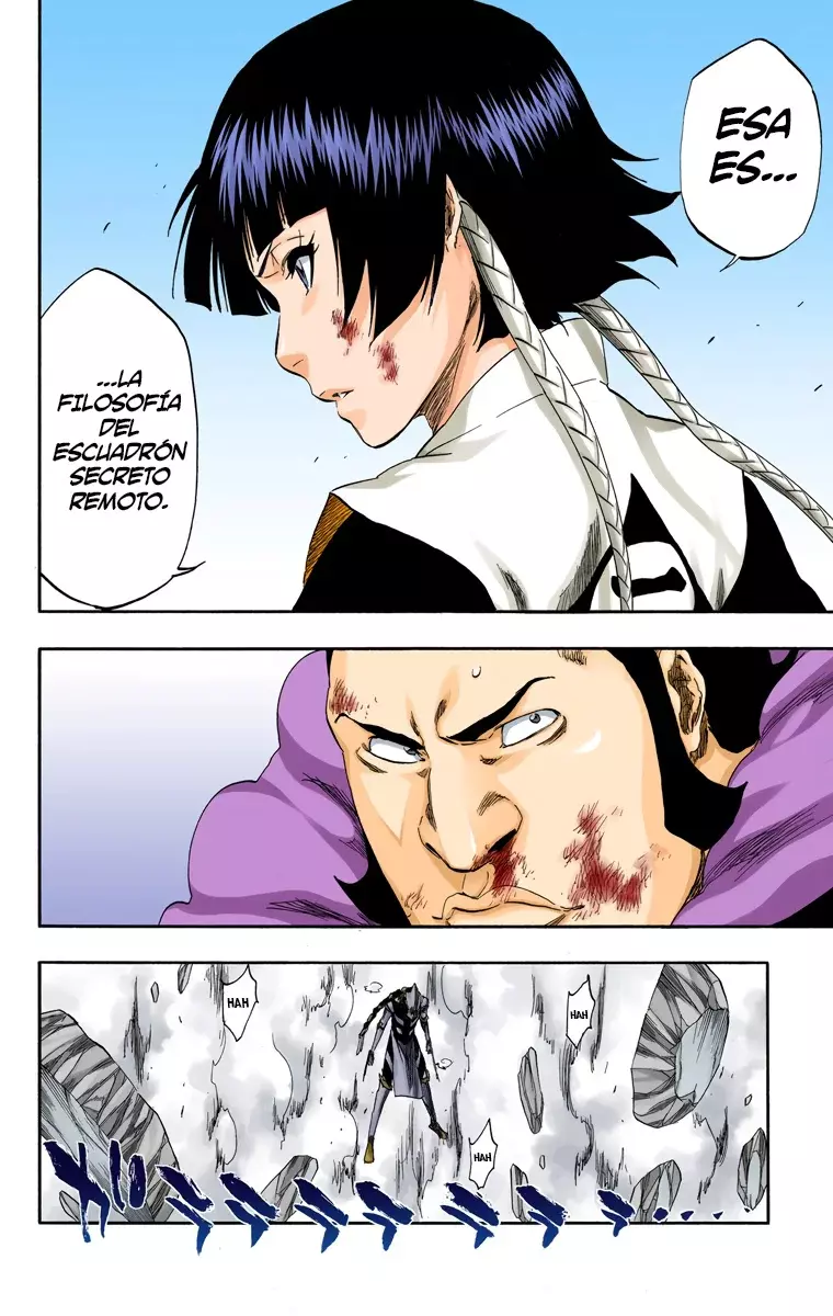 Bleach (Color) capítulo 333, página 5