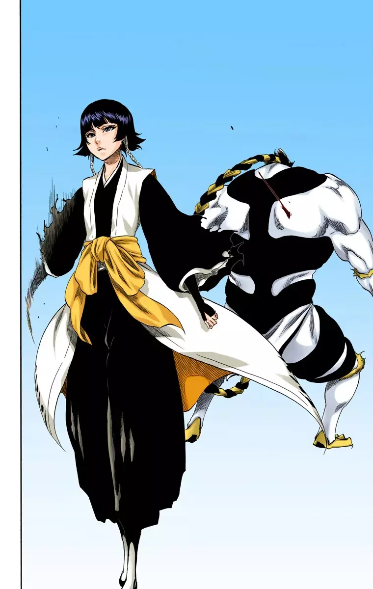 Bleach (Color) capítulo 333, página 9