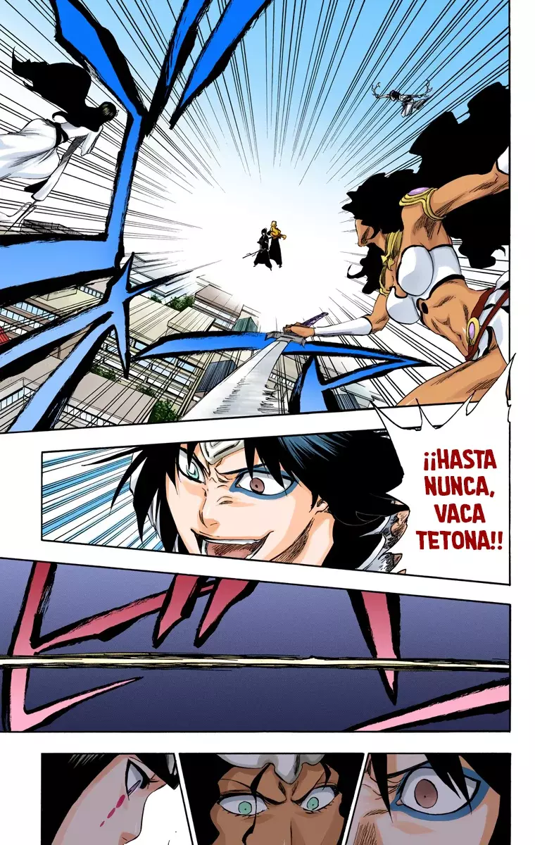 Bleach (Color) capítulo 334, página 18