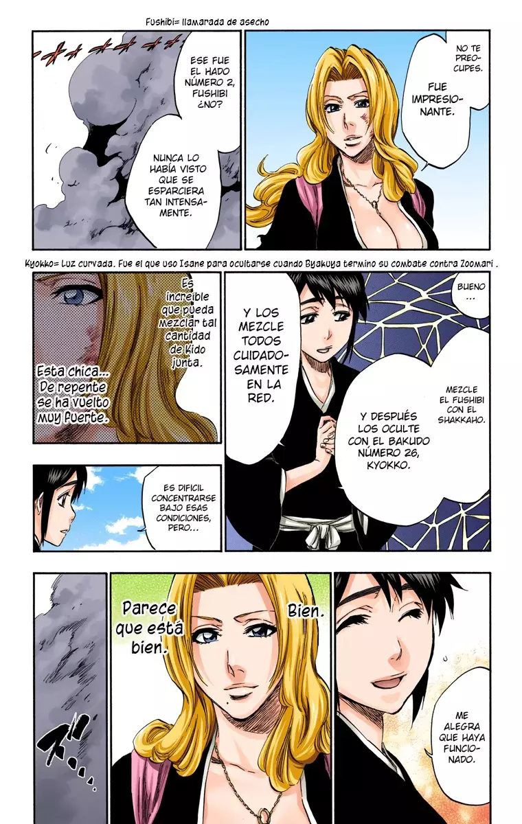 Bleach (Color) capítulo 335, página 17